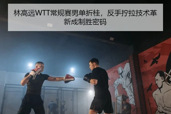 林高远WTT常规赛男单折桂，反手拧拉技术革新成制胜密码